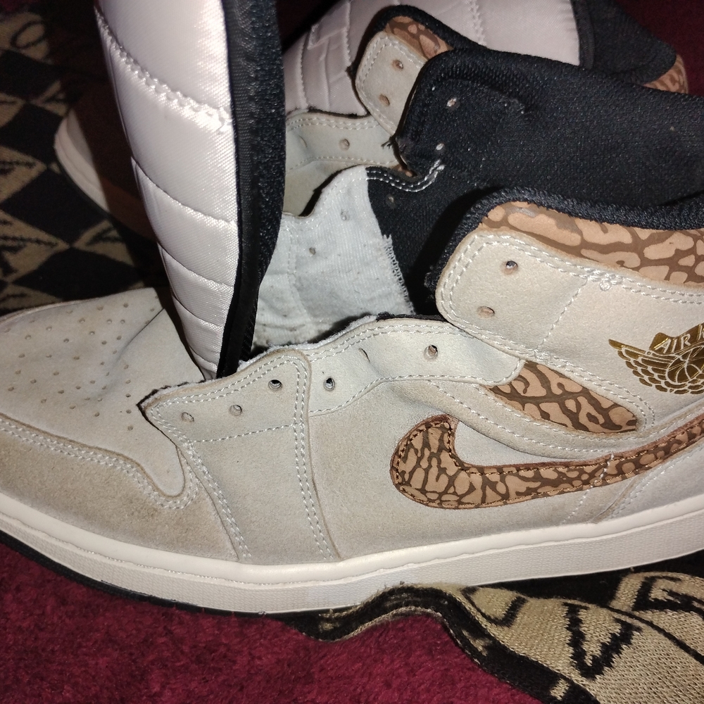 Jordan Beige and Brown Men's Shoes